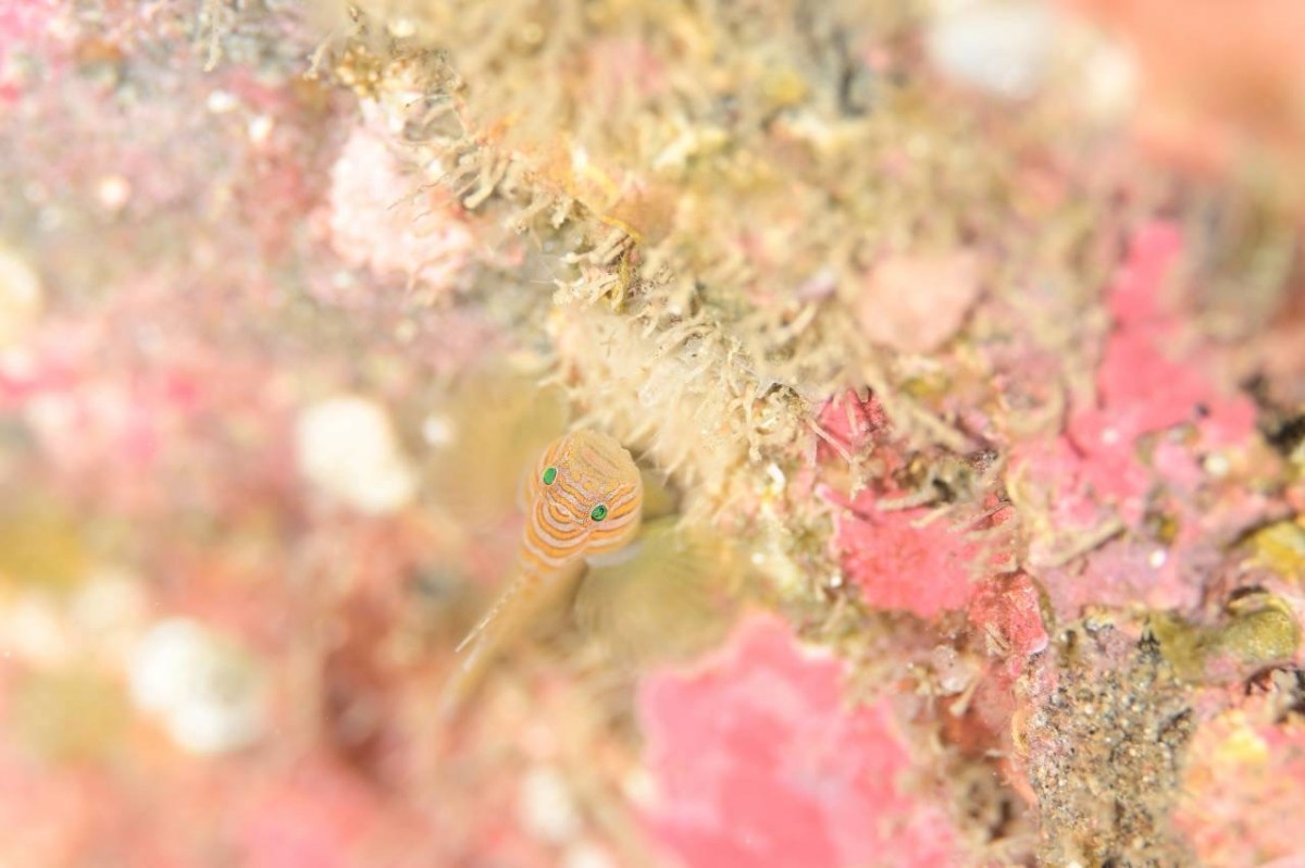 12.11 1ボート1ビーチ 3ビーチ