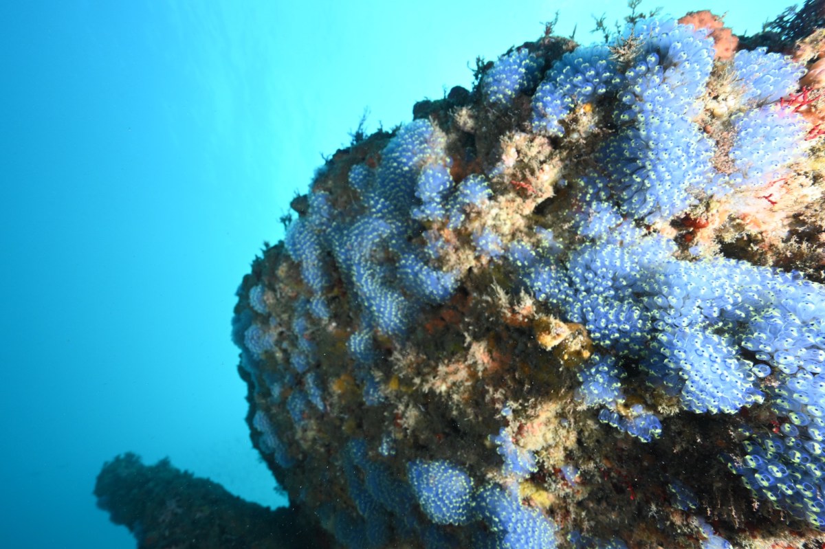 12.18 FUNDIVEコース