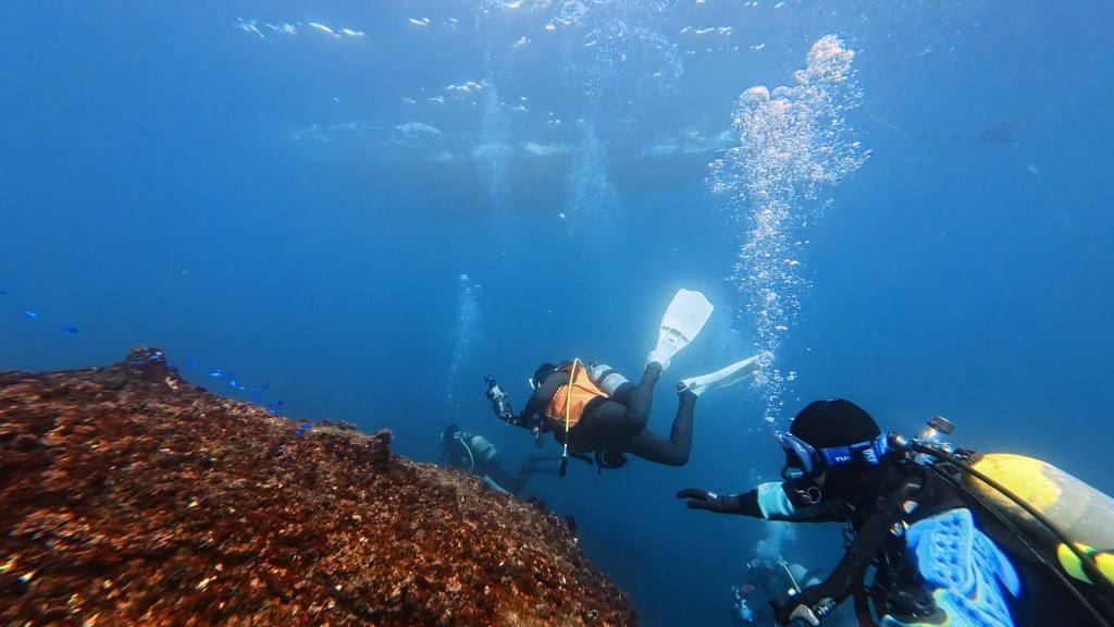 12.7 FUNDIVEコース