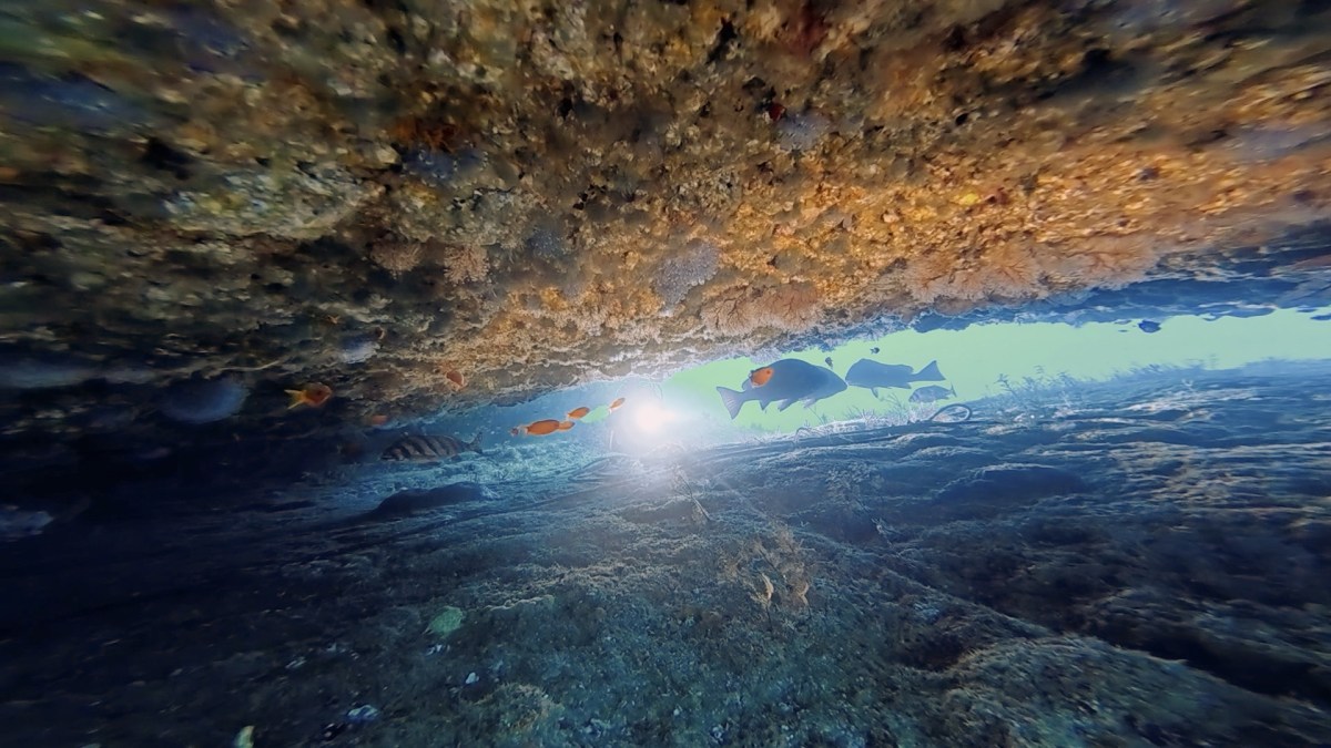 12.13 FUNDIVEコース