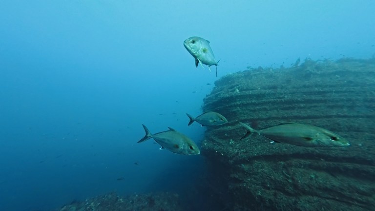 12.16 FUNDIVEコース