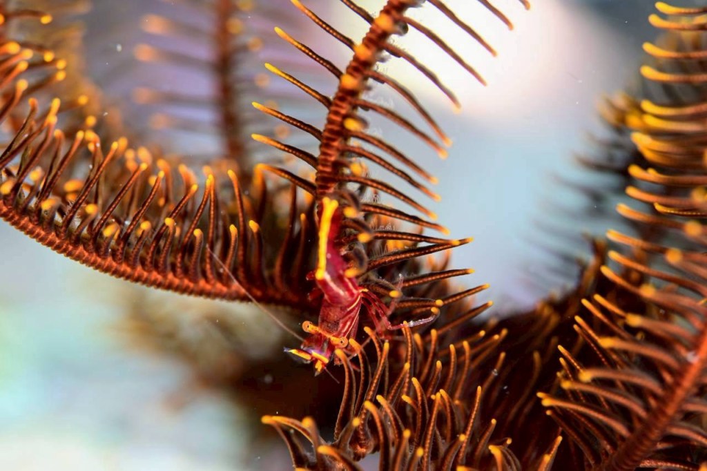 ビーチ、ボート盛り上がってます。