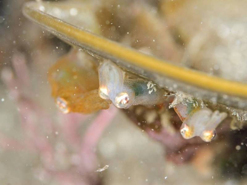 マクロな1日でした。