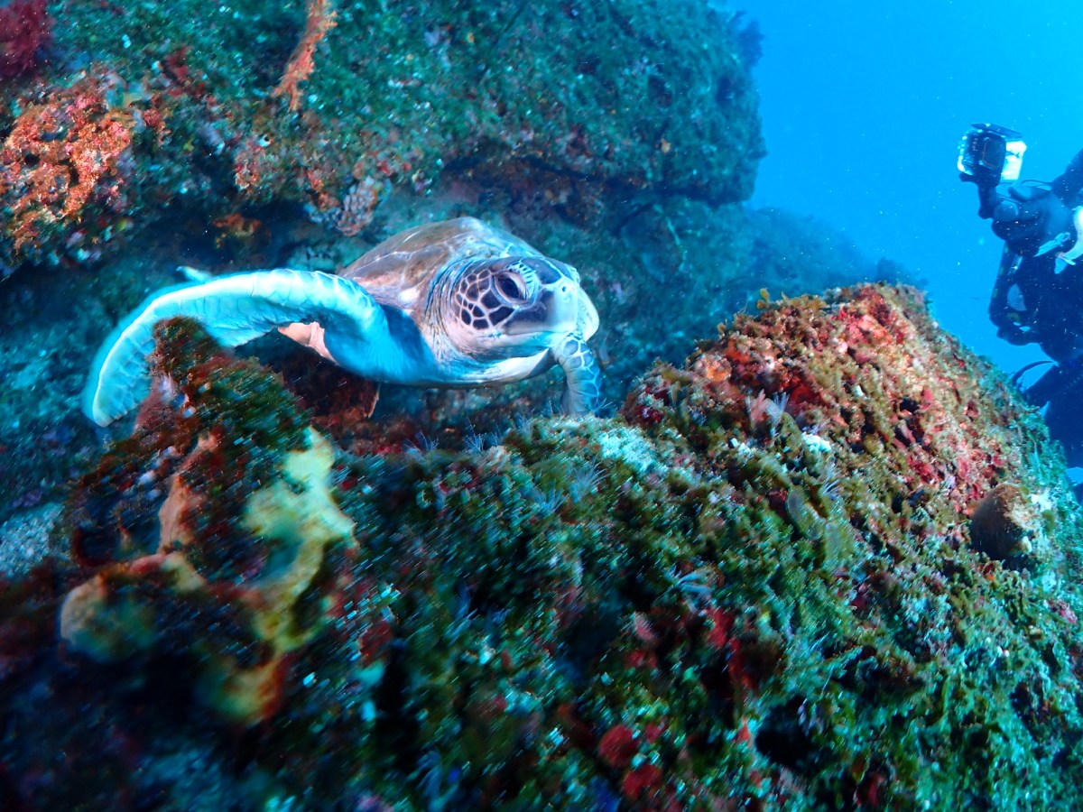 本日は、ワイド狙い