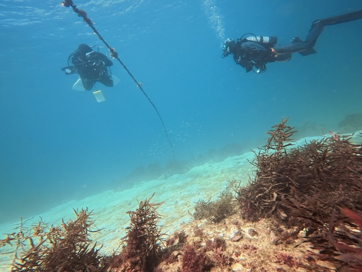 ホバリング練習