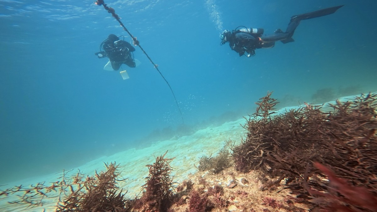 ホバリング練習