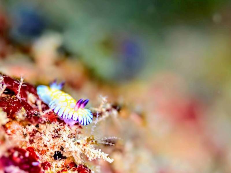 マクロも面白い。