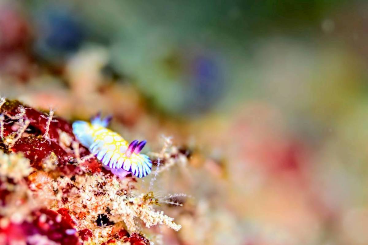 マクロも面白い。