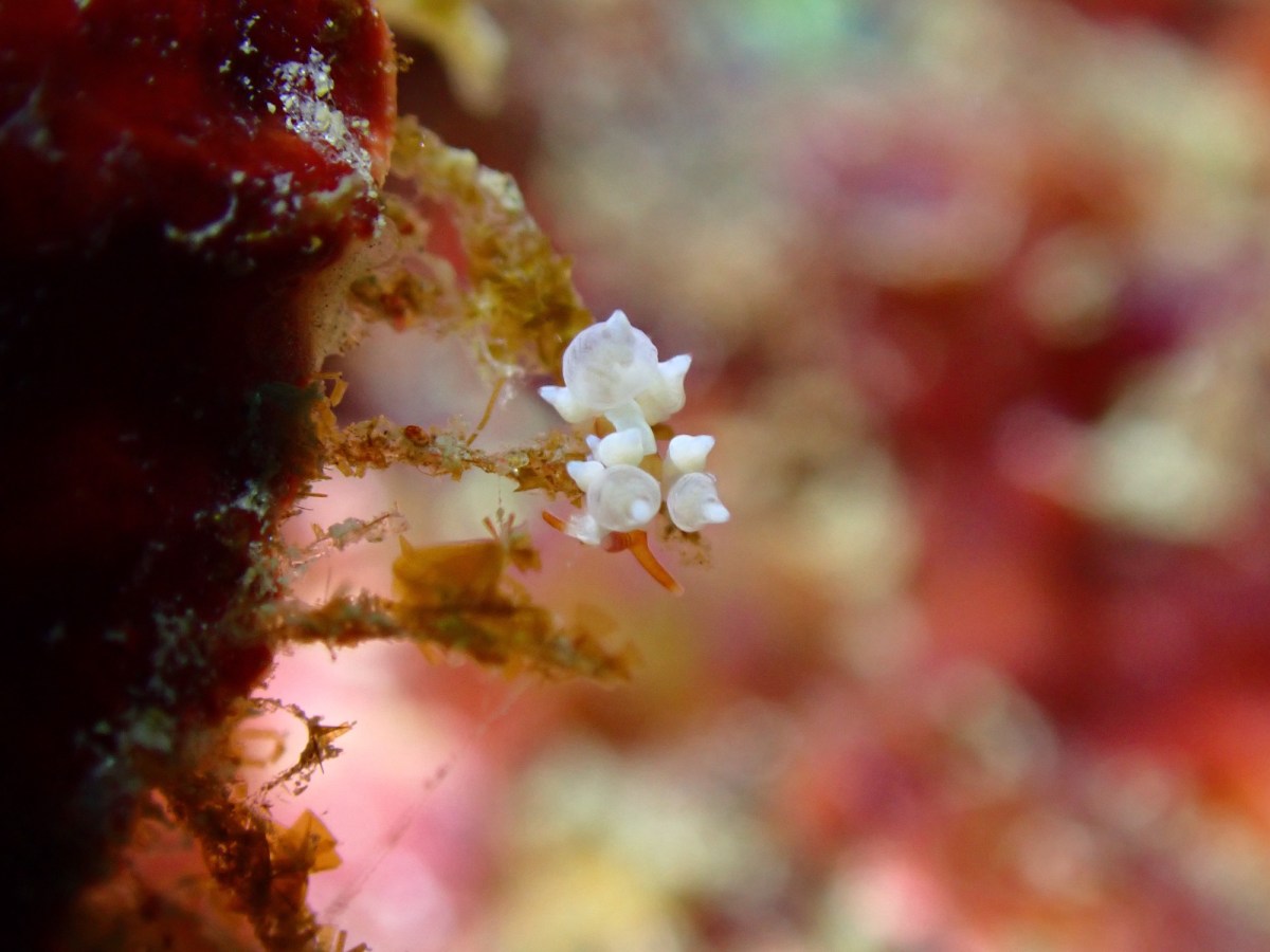 FUNDIVEと講習でした。