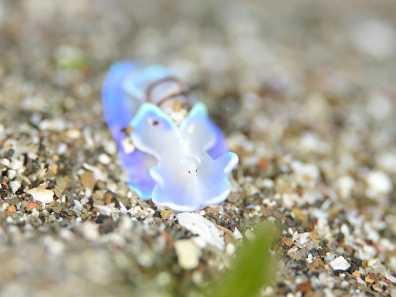 生物との出会いに感謝