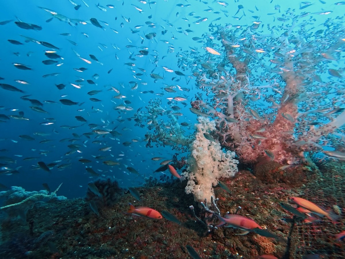 良い海でした。