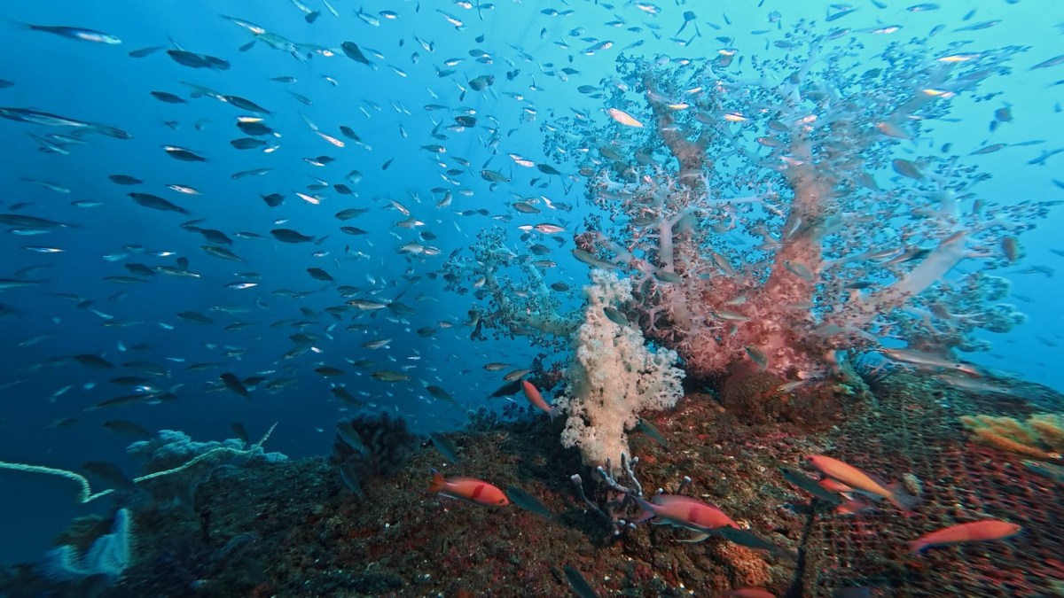 良い海でした。