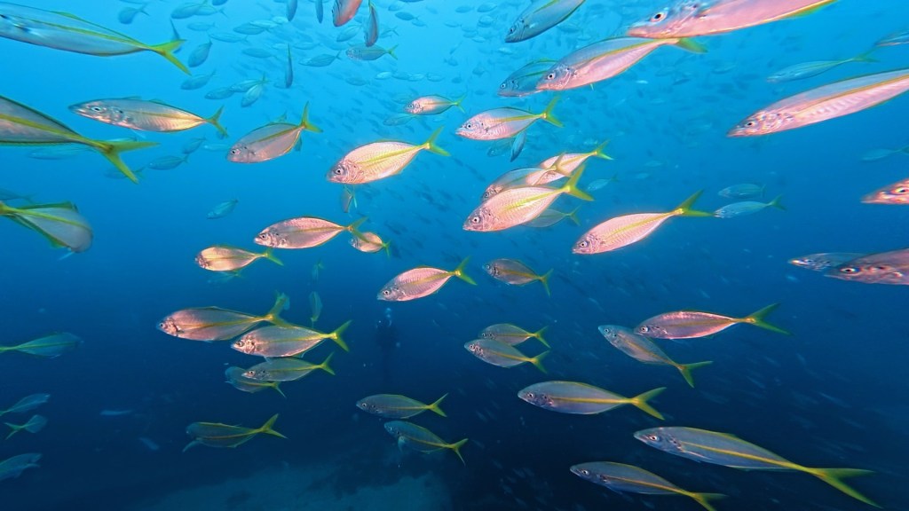 ワイド絶好調でした！