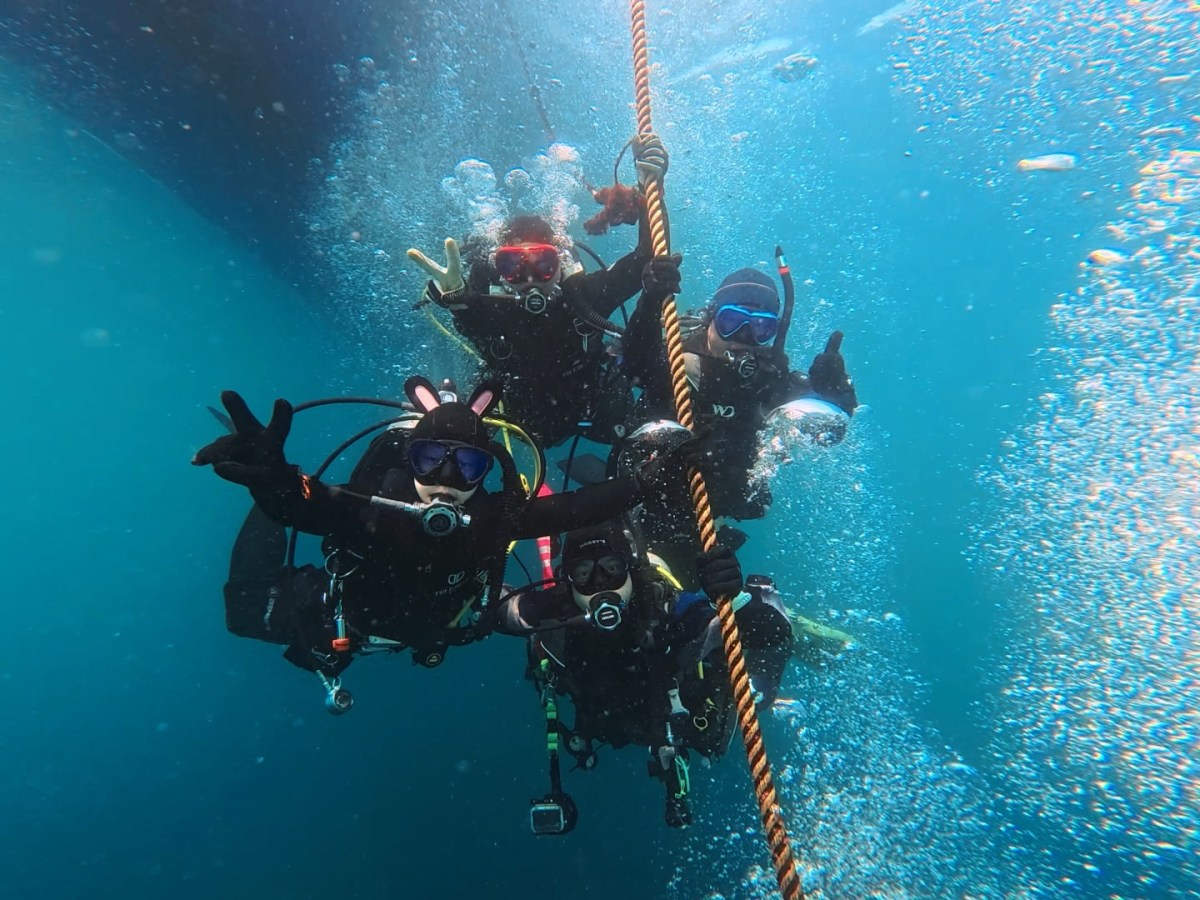 本日は、こちらに。