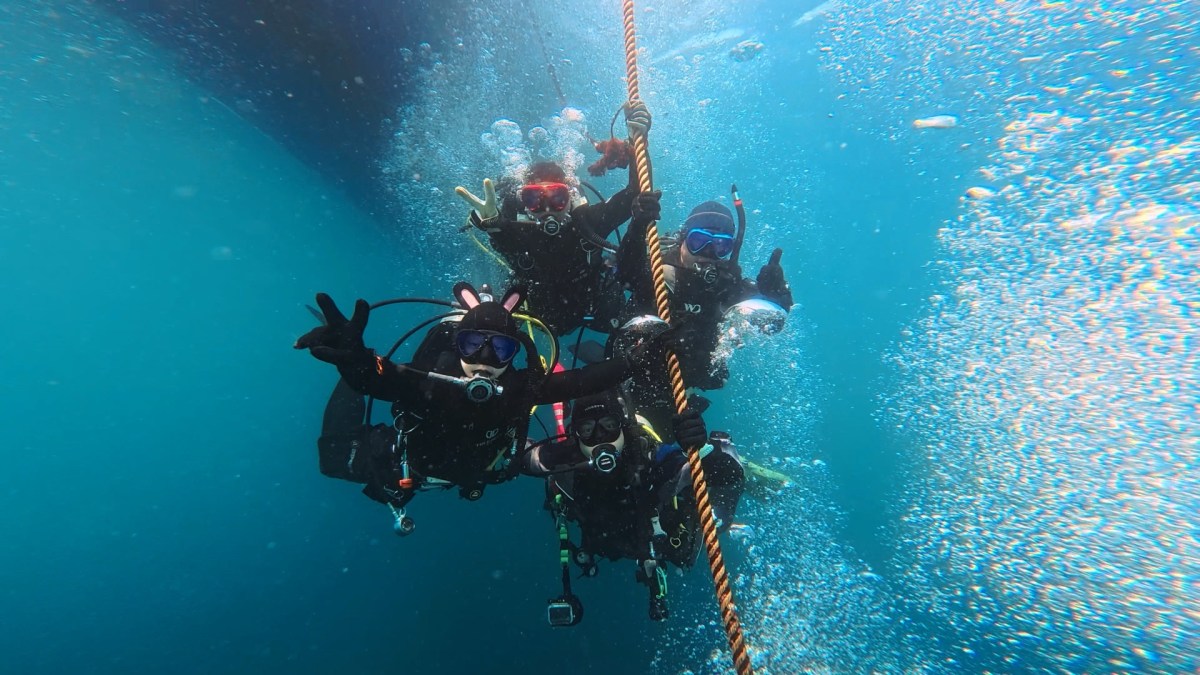 本日は、こちらに。