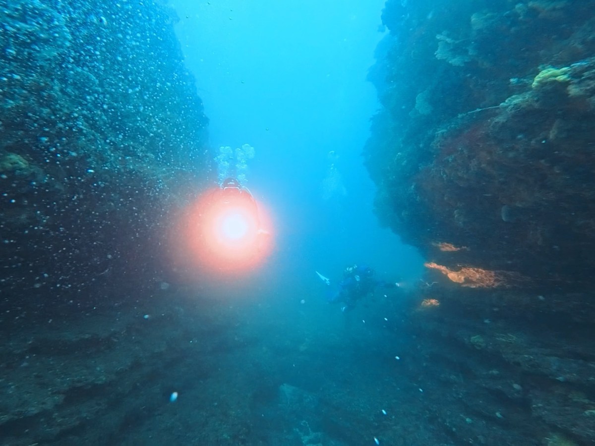 今シーズン初ポイント