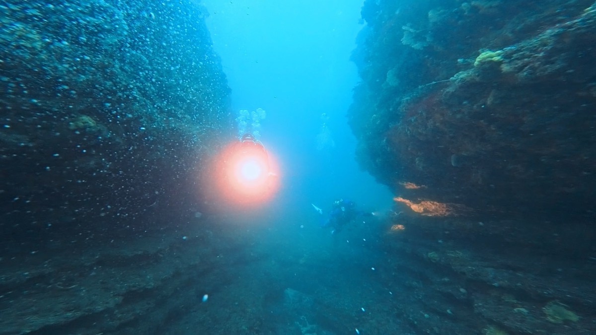 今シーズン初ポイント